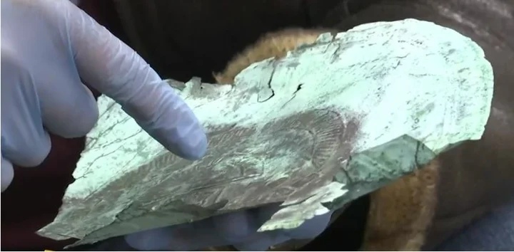 10000-летняя маска из внеземного металла