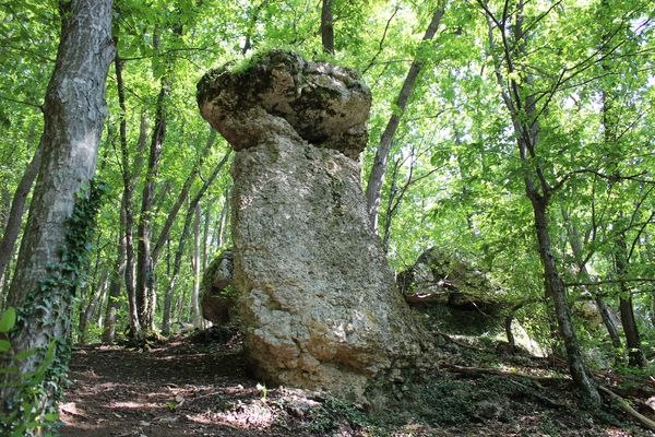 каменные грибы