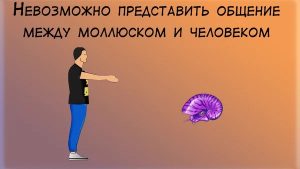 гипотеза зоопарка