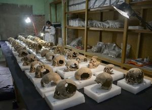 хранилище черепов