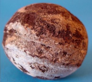 небесные металлические шары