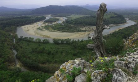 река Партизанская