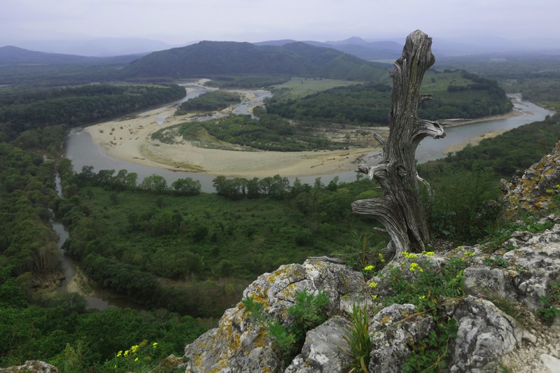 река Партизанская
