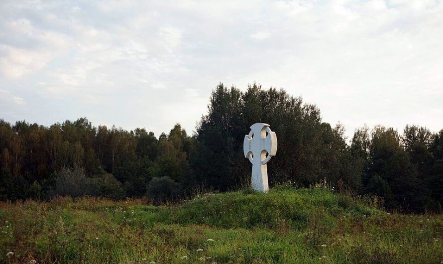 Раскопки на окольном городе Вщижа